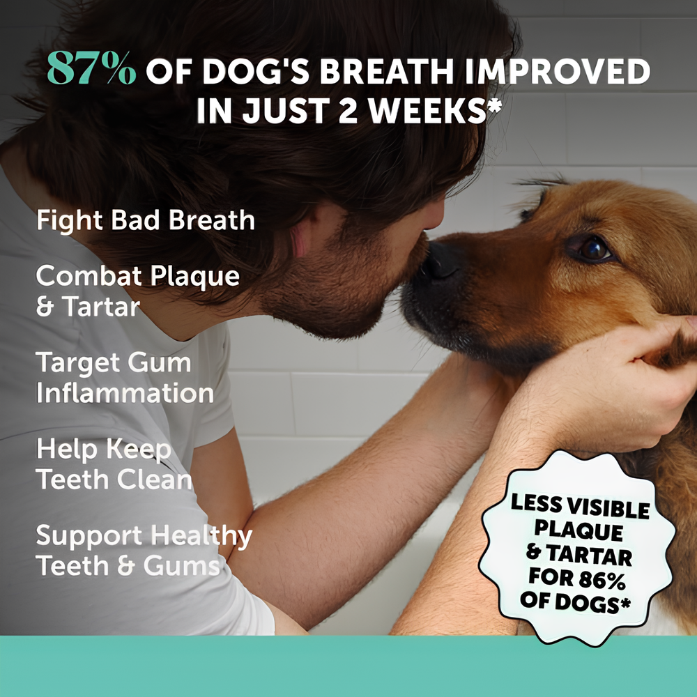 Fresh Kisses, Happy Tails: Transform Your Pup's Health!